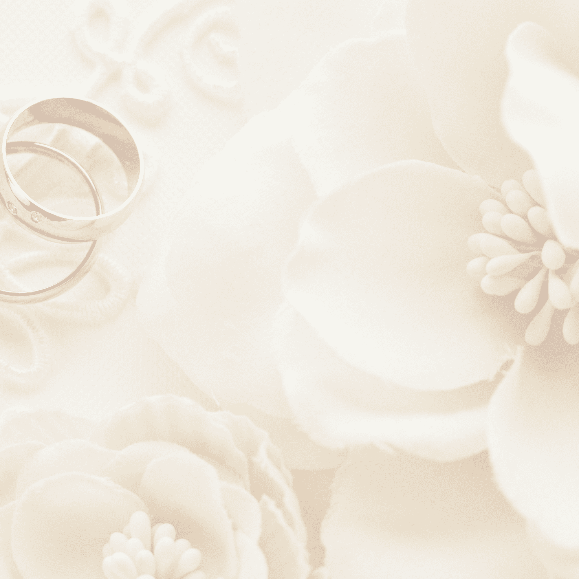 EverlyWeds Rings Background